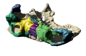 Dragonfly 3D CT X-Ray tomografia przemysłowa